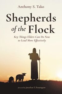 bokomslag Shepherds of the Flock