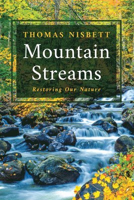 Mountain Streams