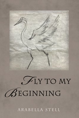 bokomslag Fly to My Beginning