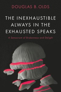 bokomslag The Inexhaustible Always in the Exhausted Speaks: A Sensorium of Brokenness and Delight