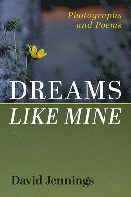 David Jennings - Dreams Like Mine, Häftad