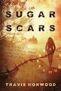 bokomslag Sugar Scars