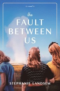 bokomslag Fault Between Us