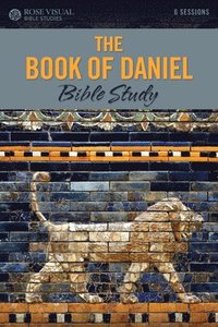 bokomslag Book Of Daniel