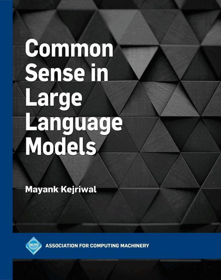 Mayank Kejriwal - Common Sense in Large Language Models, Häftad. Tillgänglighet: Lägg i varukorg