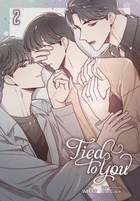 Tied to You, Vol. 2 1