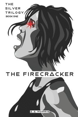 bokomslag Firecracker