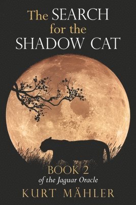 The Search for the Shadow Cat 1