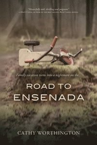 bokomslag Road To Ensenada