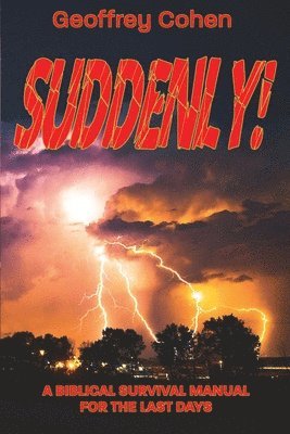 bokomslag Suddenly!