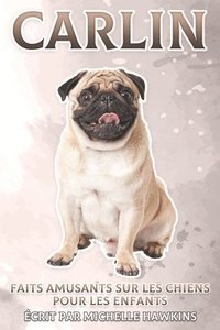 bokomslag Carlin: Faits amusants sur les chiens pour les enfants #3