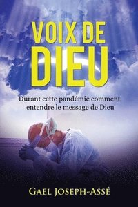 bokomslag Voix de Dieu