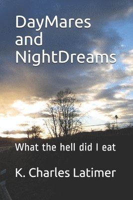 DayMares and NightDreams: What the hell did I eat 1
