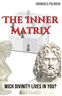 The Inner Matrix 1