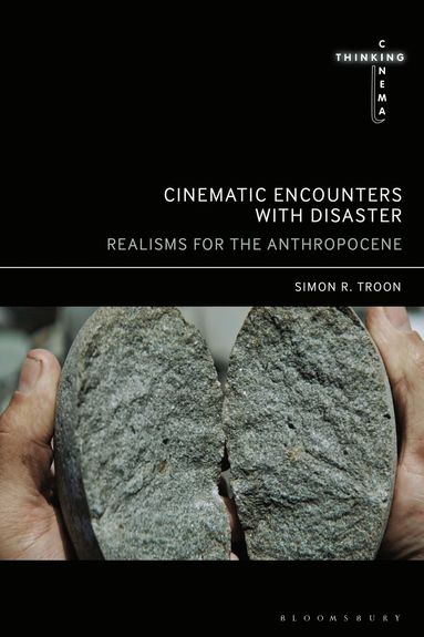 bokomslag Cinematic Encounters with Disaster