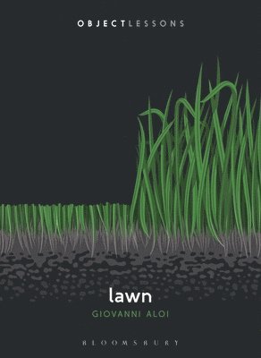 bokomslag Lawn