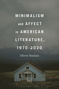 bokomslag Minimalism and Affect in American Literature, 1970-2020