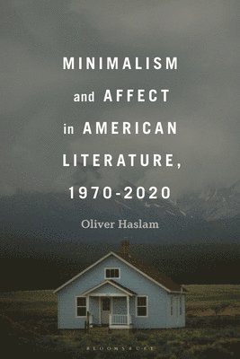 bokomslag Minimalism and Affect in American Literature, 1970-2020