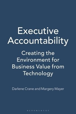 bokomslag Executive Accountability