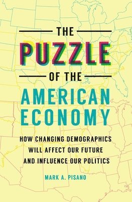 bokomslag Puzzle of the American Economy