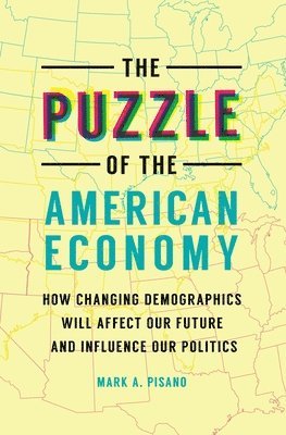 bokomslag The Puzzle of the American Economy