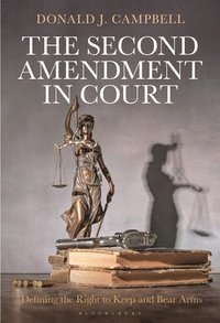 bokomslag The Second Amendment in Court