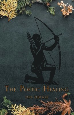 bokomslag Poetic Healing