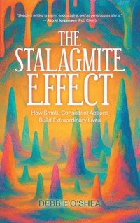 bokomslag Stalagmite Effect