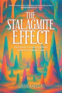 bokomslag Stalagmite Effect
