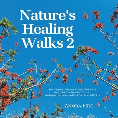bokomslag Nature's Healing Walks 2