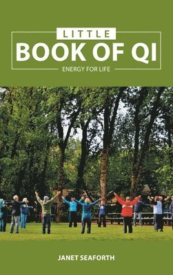 bokomslag Little Book of Qi
