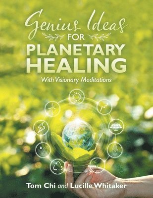 bokomslag Genius Ideas for Planetary Healing
