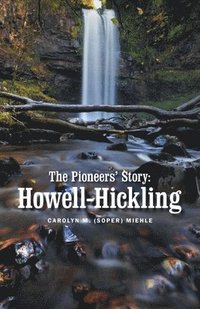 bokomslag Pioneers' Story
