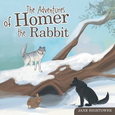 The Adventures of Homer the Rabbit 1