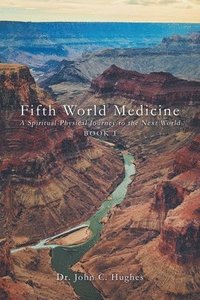 bokomslag Fifth World Medicine