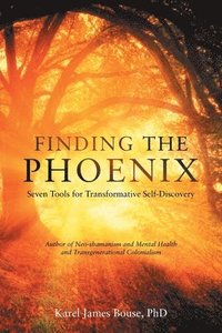 bokomslag Finding the Phoenix