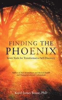 bokomslag Finding the Phoenix