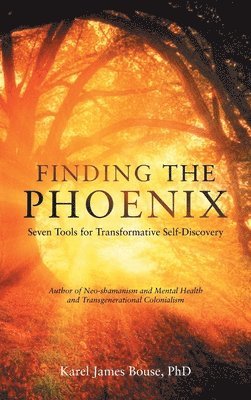 Finding the Phoenix 1