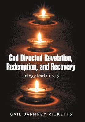 bokomslag God Directed Revelation, Redemption, and Recovery