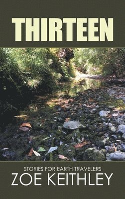 Zoe Keithley - Thirteen, Inbunden