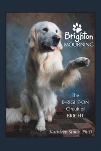 bokomslag Brighton Mourning