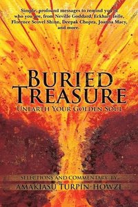 bokomslag Buried Treasure