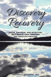 bokomslag Discovery Is Recovery