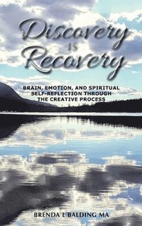 bokomslag Discovery Is Recovery