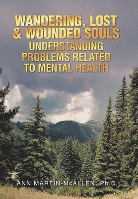 bokomslag Wandering, Lost & Wounded Souls Understanding Problems Related to Mental Health