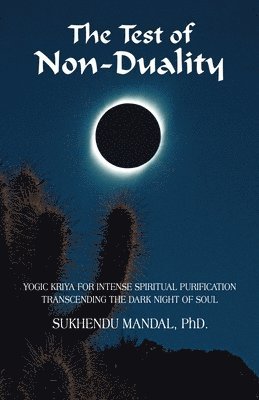 Sukhendu Mandal, Sukhendu Mandal PhD - Test of Non-Duality, Häftad