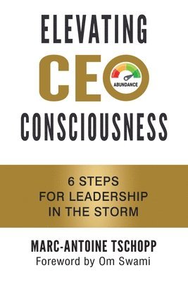 bokomslag Elevating CEO Consciousness