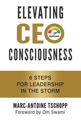 Elevating CEO Consciousness 1