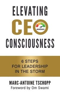 bokomslag Elevating CEO Consciousness