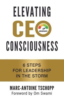 bokomslag Elevating CEO Consciousness